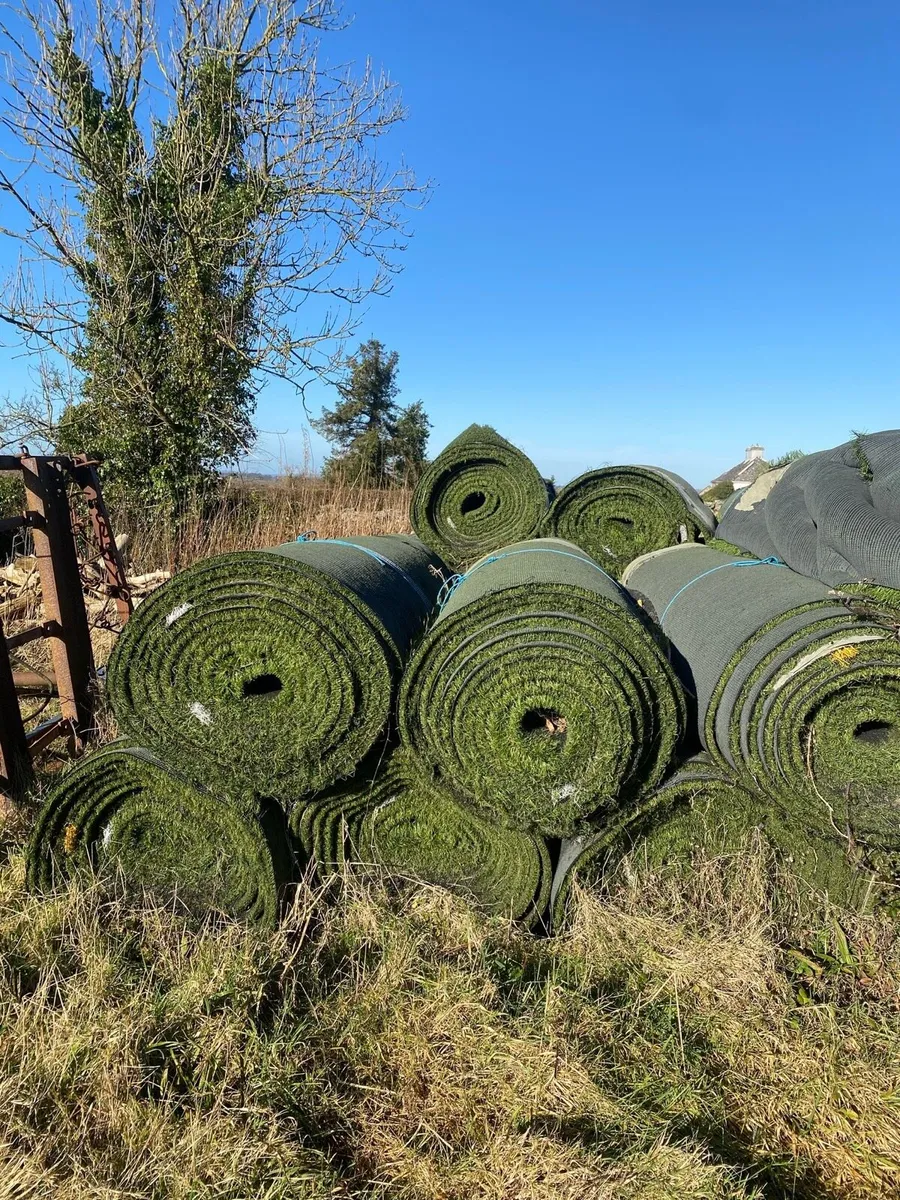 Astroturf - Image 3