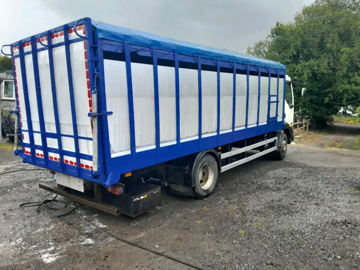 Cattle body 21ft x8ft daf55 lorry - Image 3