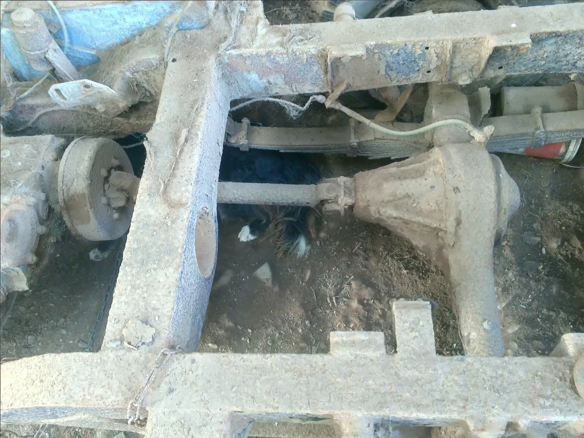 Car - Image 2
