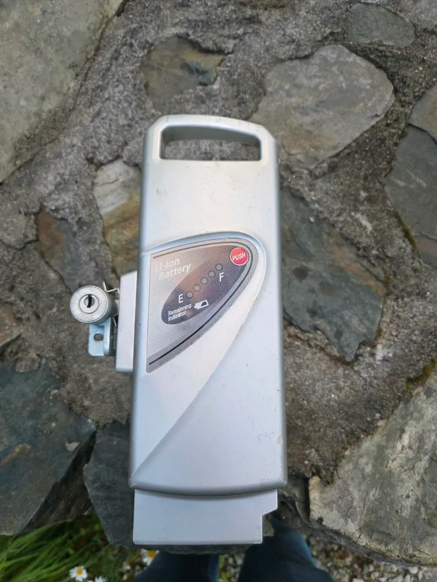E-bike battery 25.2v 16Ah 400w + charger - Image 1
