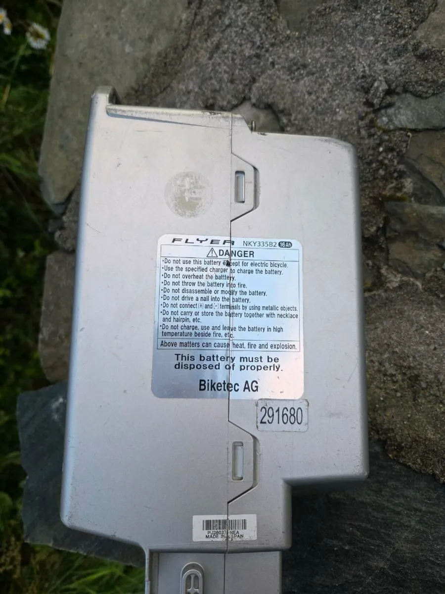 E-bike battery 25.2v 16Ah 400w + charger - Image 2