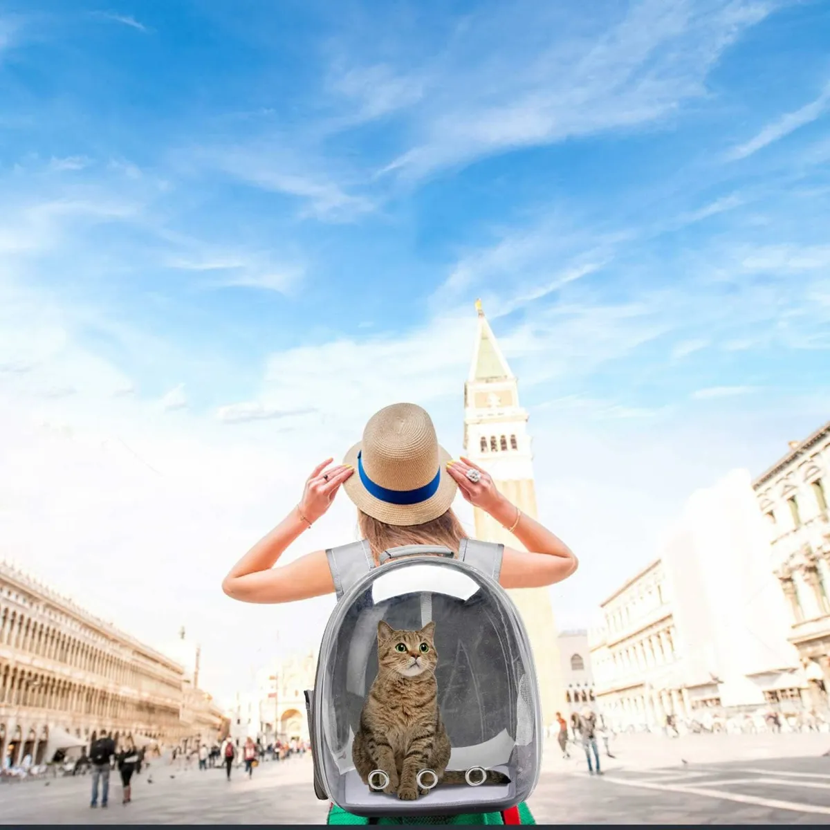 Backpack carrier for Cat/dog - Image 2