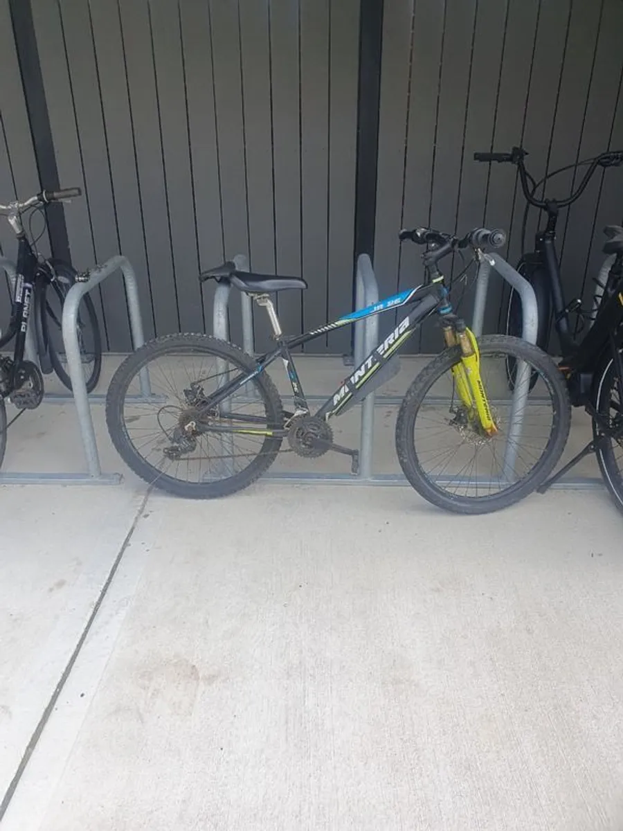 Mountain bike