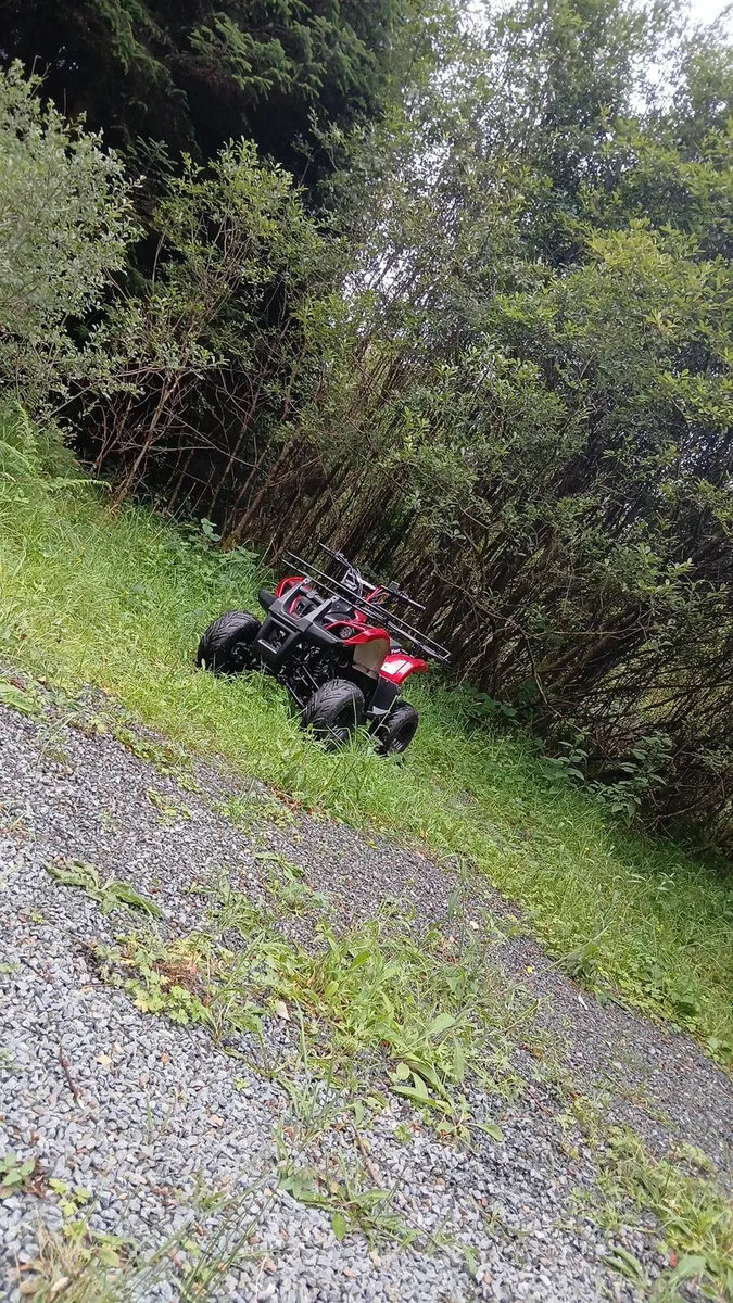 Quad - Image 1