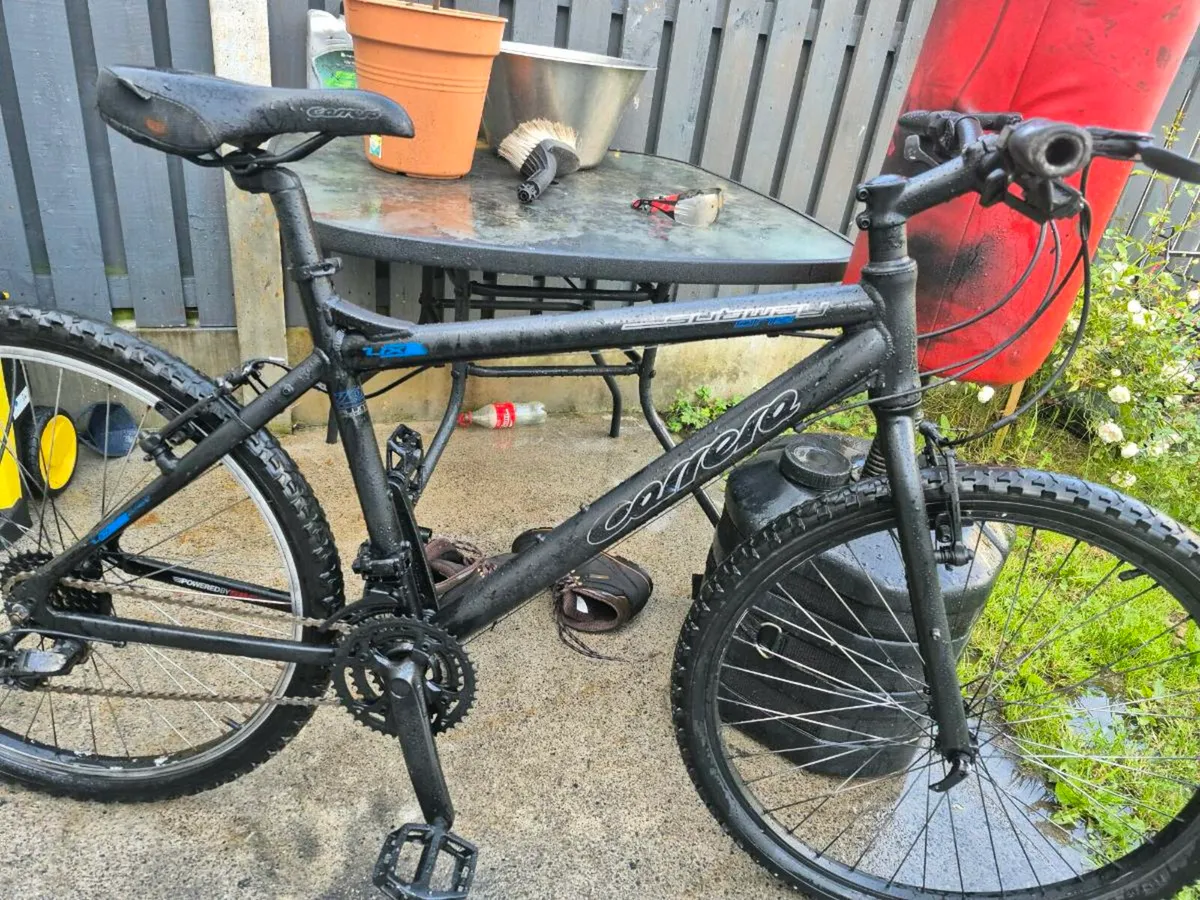 Adult Carrera  Axle hybrid bicycle
21 speed shiman - Image 3