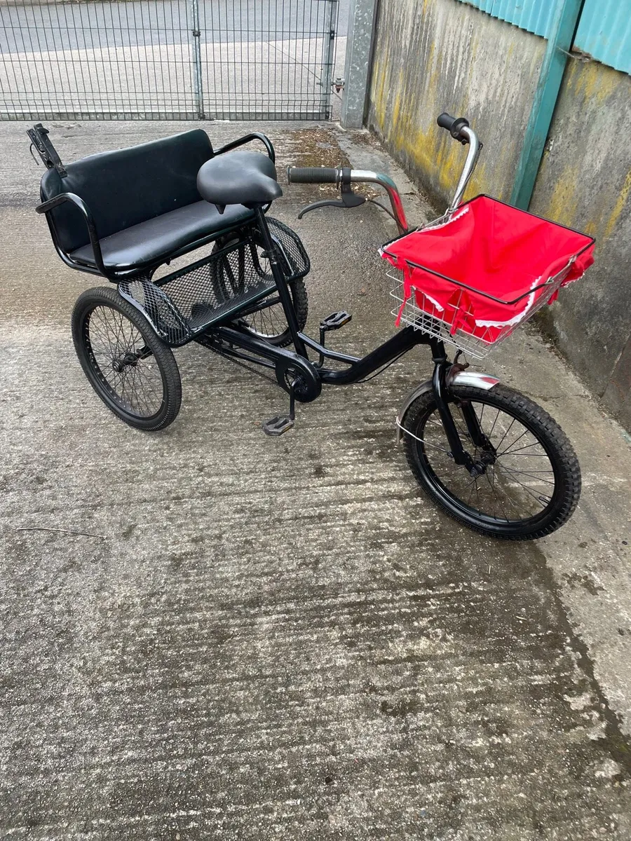 Garden or shop display bike - Image 1