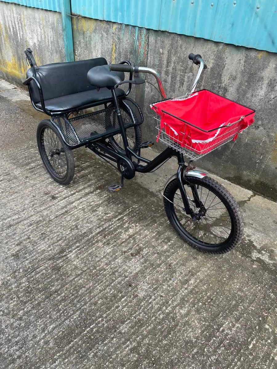 Garden or shop display bike - Image 3