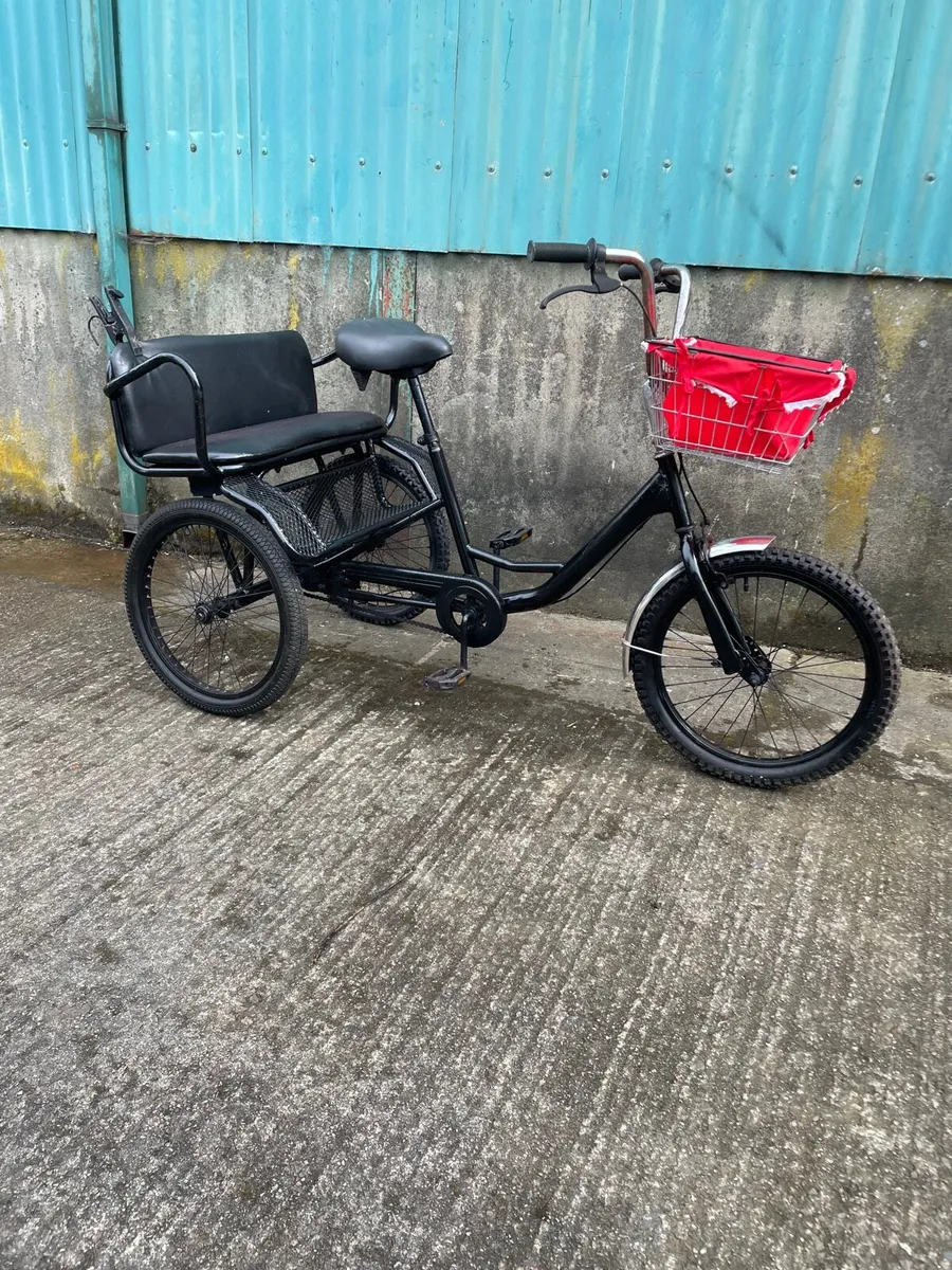 Garden or shop display bike - Image 4