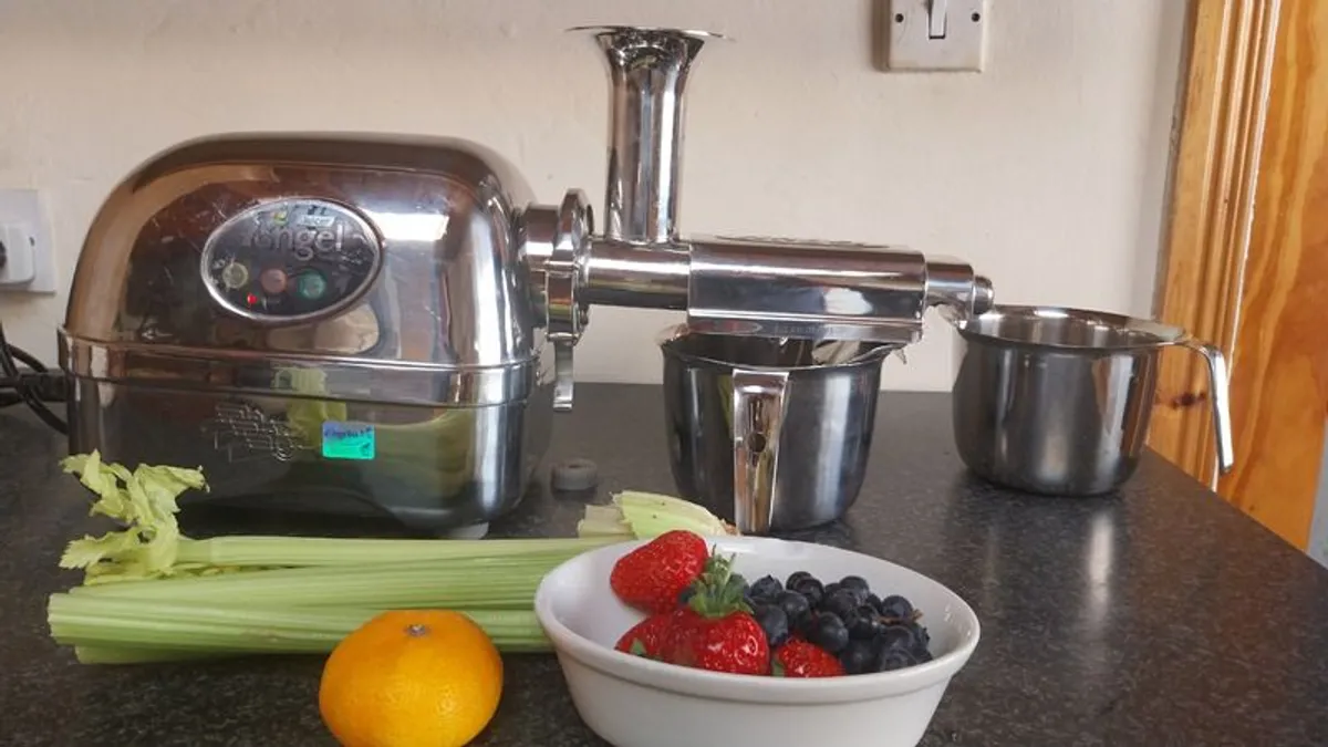 Angel Juicer AG-8500S -premium Twin Gear Cold Press Juicer - Image 1
