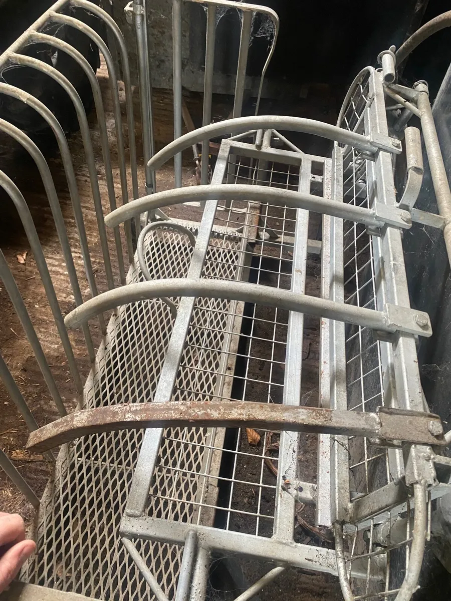 Sheep Turn over crate - Image 2