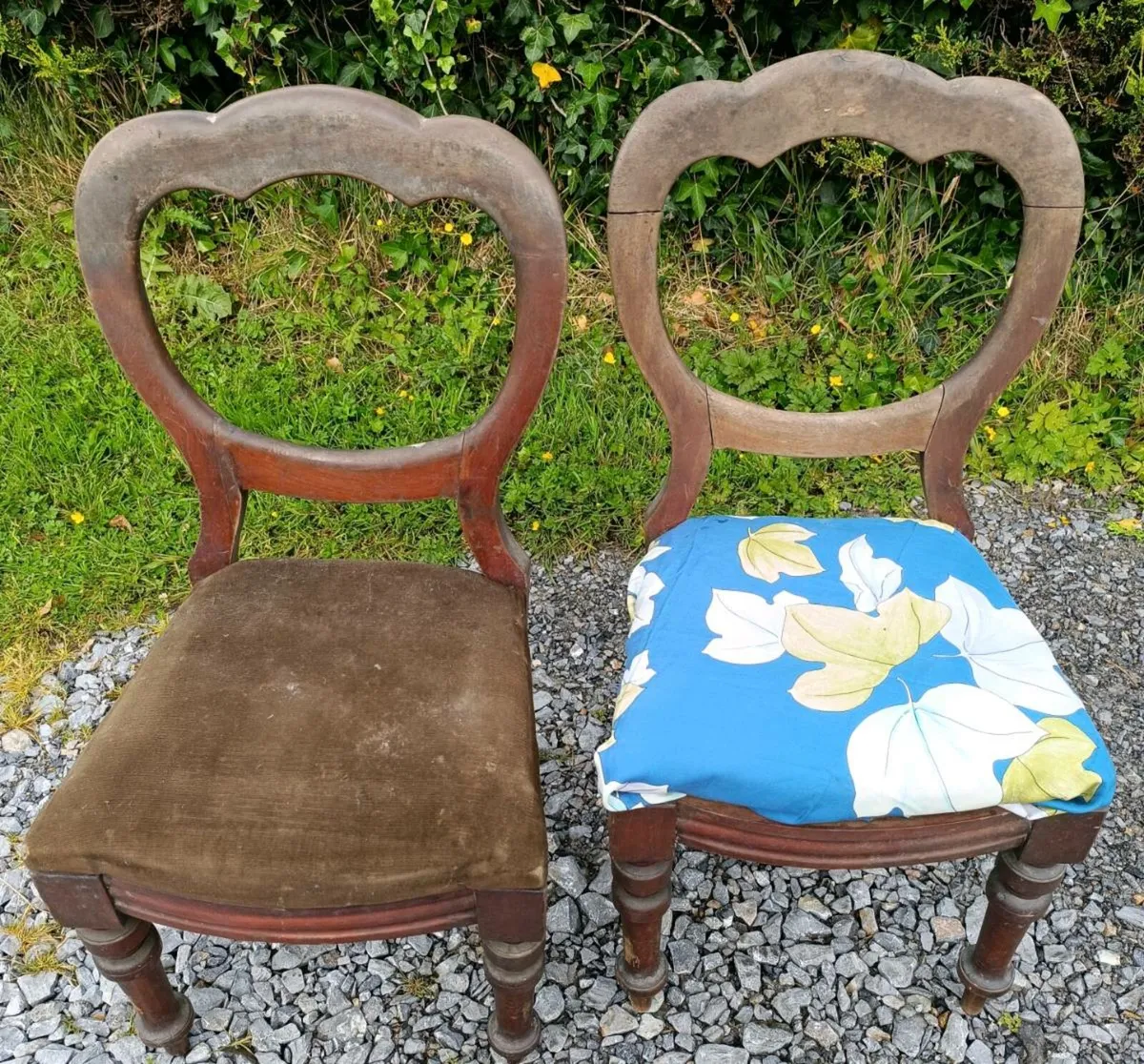 Victorian Walnut Chairs - Image 2
