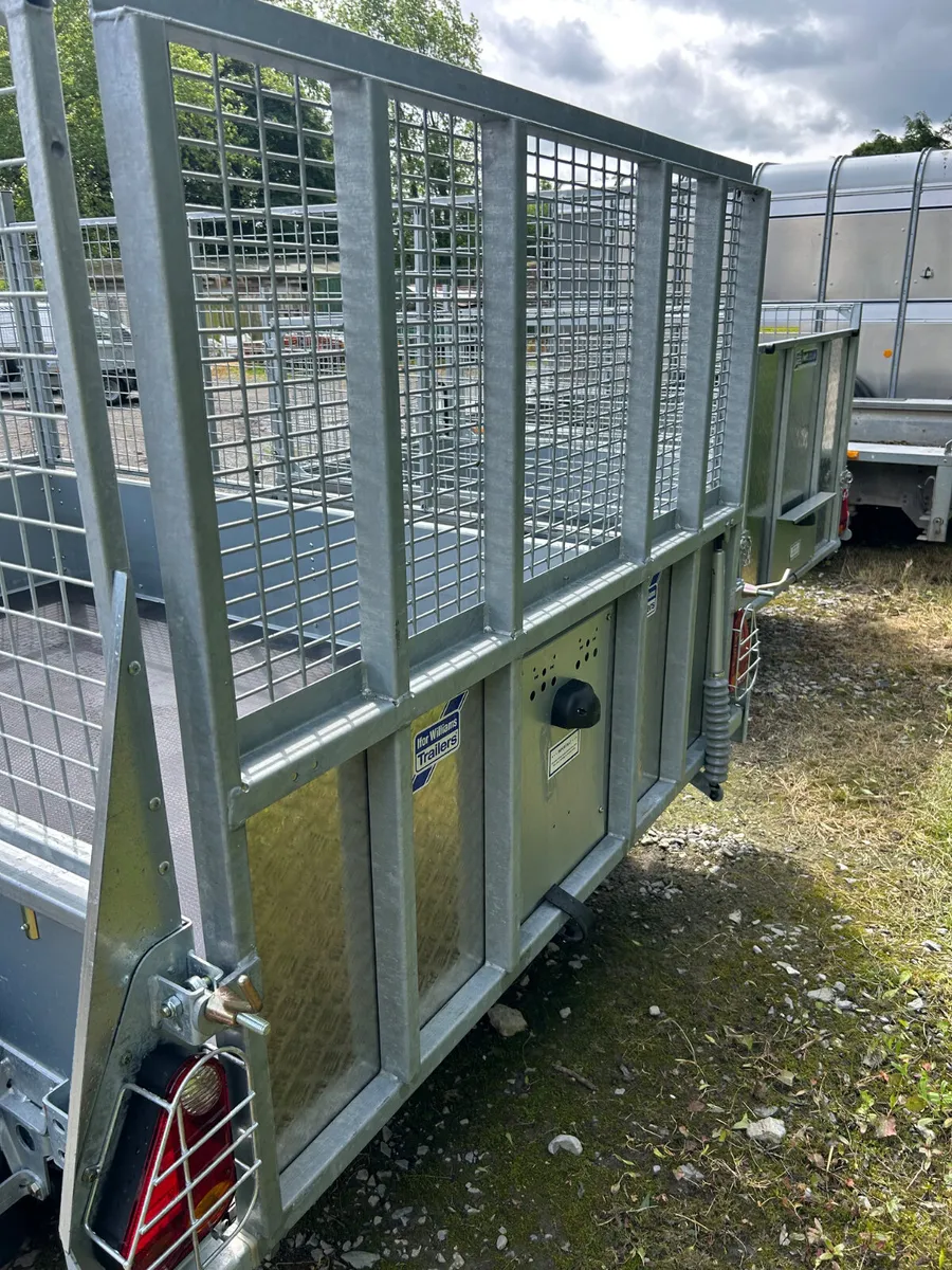 New Ifor Williams 8x5 GD85 with Mesh and Ramp - Image 4