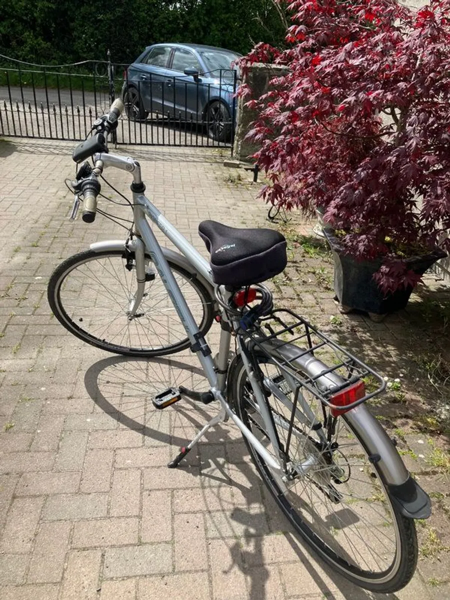 Raleigh Pioneer 1 - Image 1