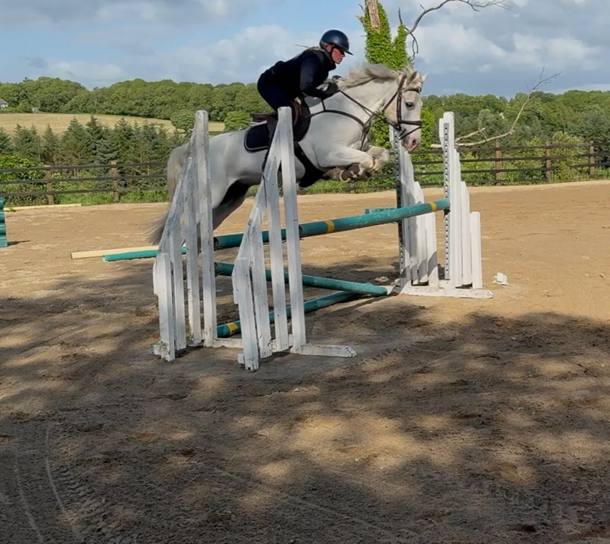 Stunning 148cm schoolmaster gelding - Image 3