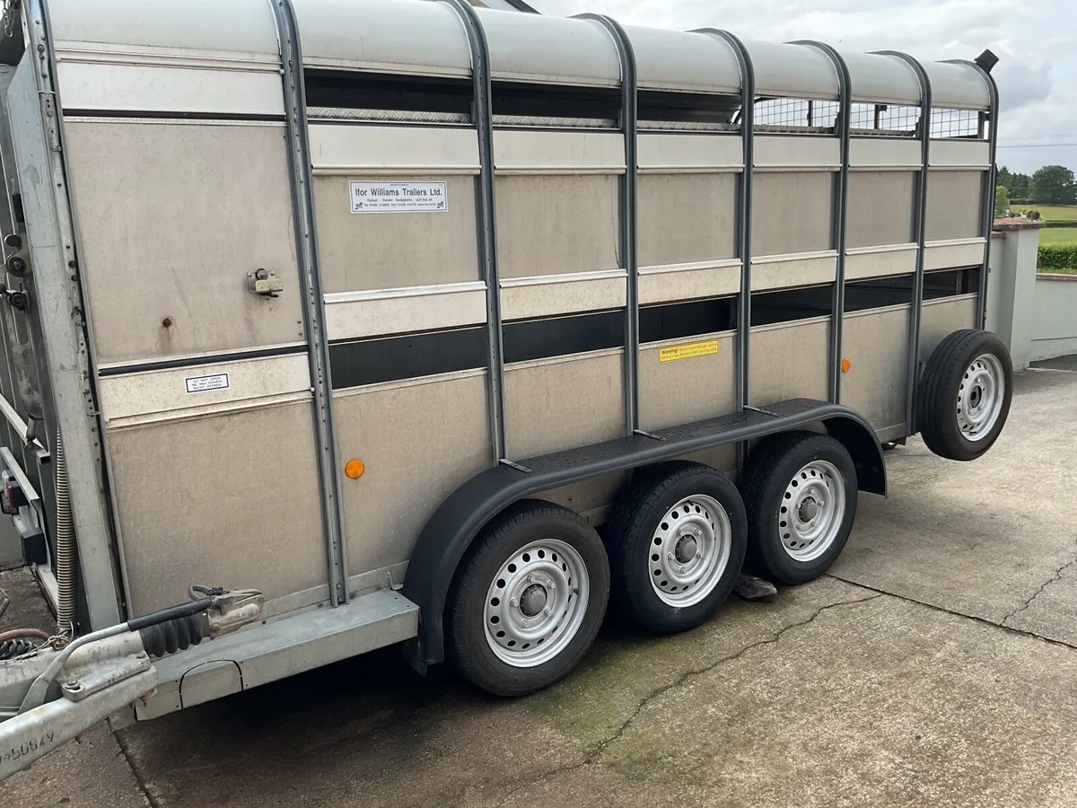 I for Williams 14ft trailer - Image 1