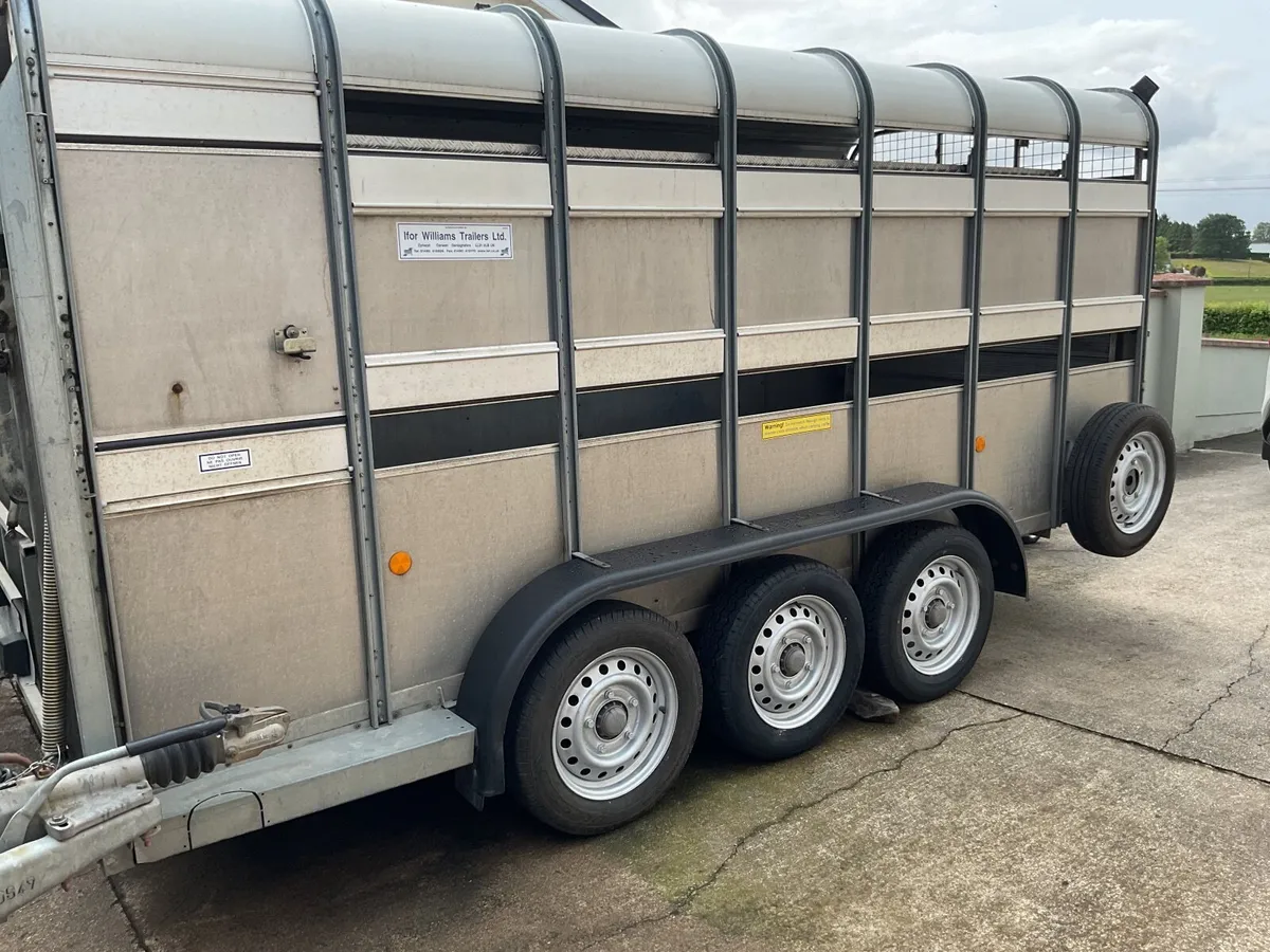 I for Williams 14ft trailer - Image 2
