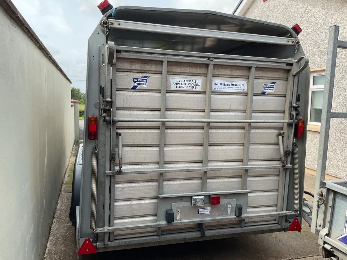 I for Williams 14ft trailer - Image 4