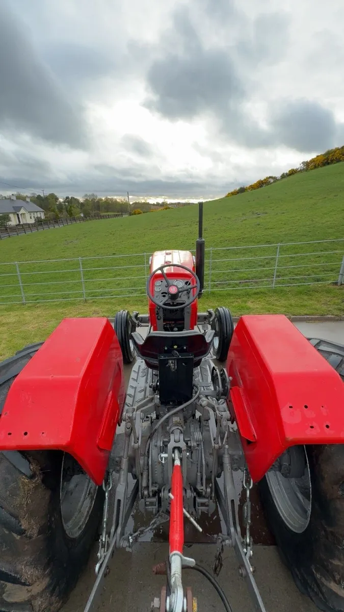 MF 188 - Image 2