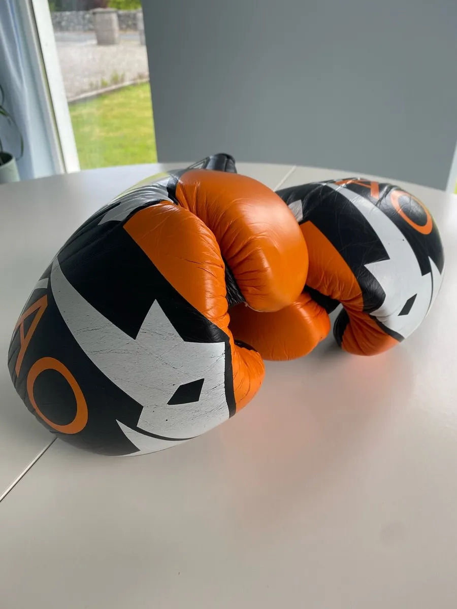 Boxing Gloves - Image 4