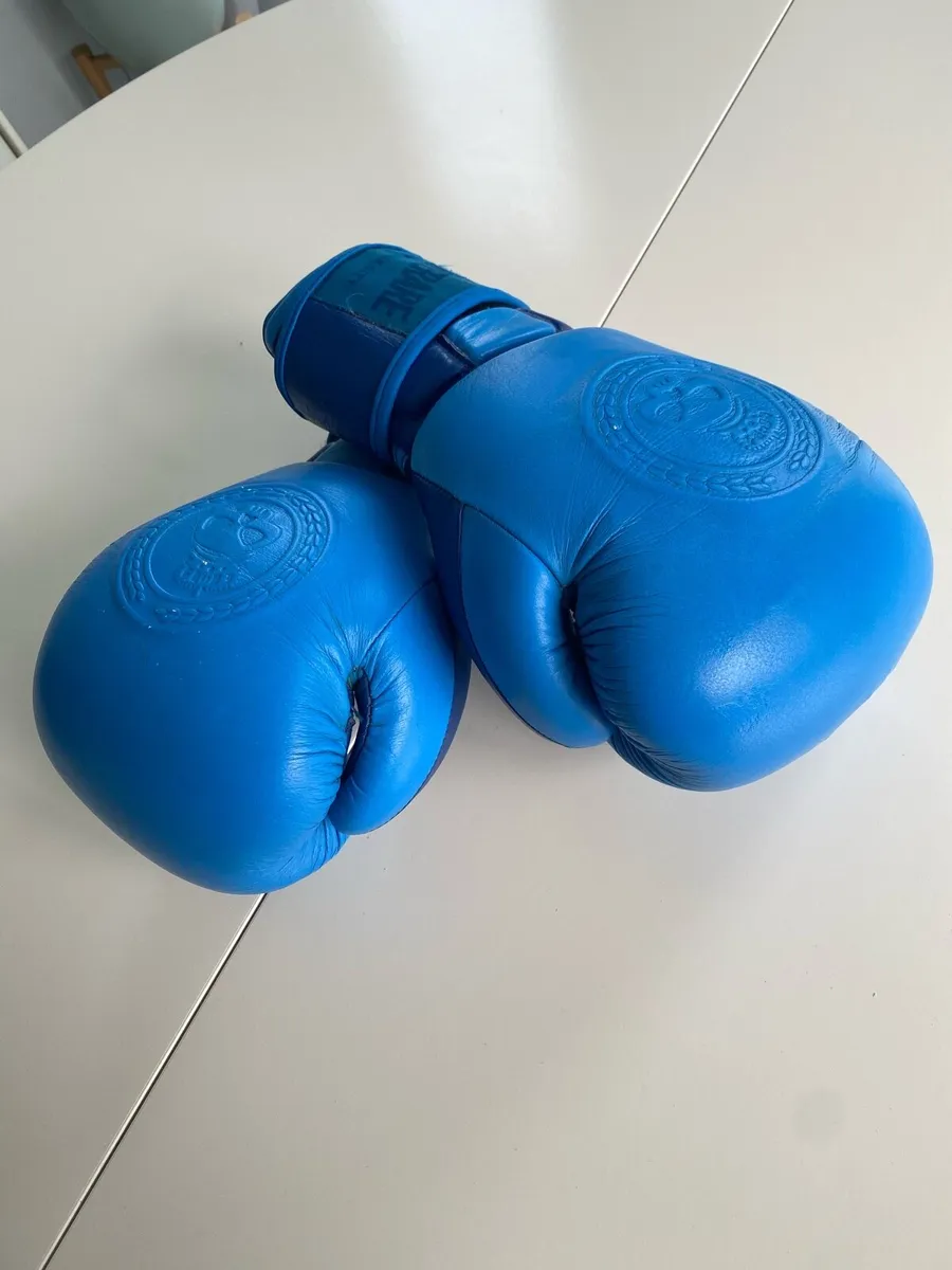 Boxing Gloves - Image 1