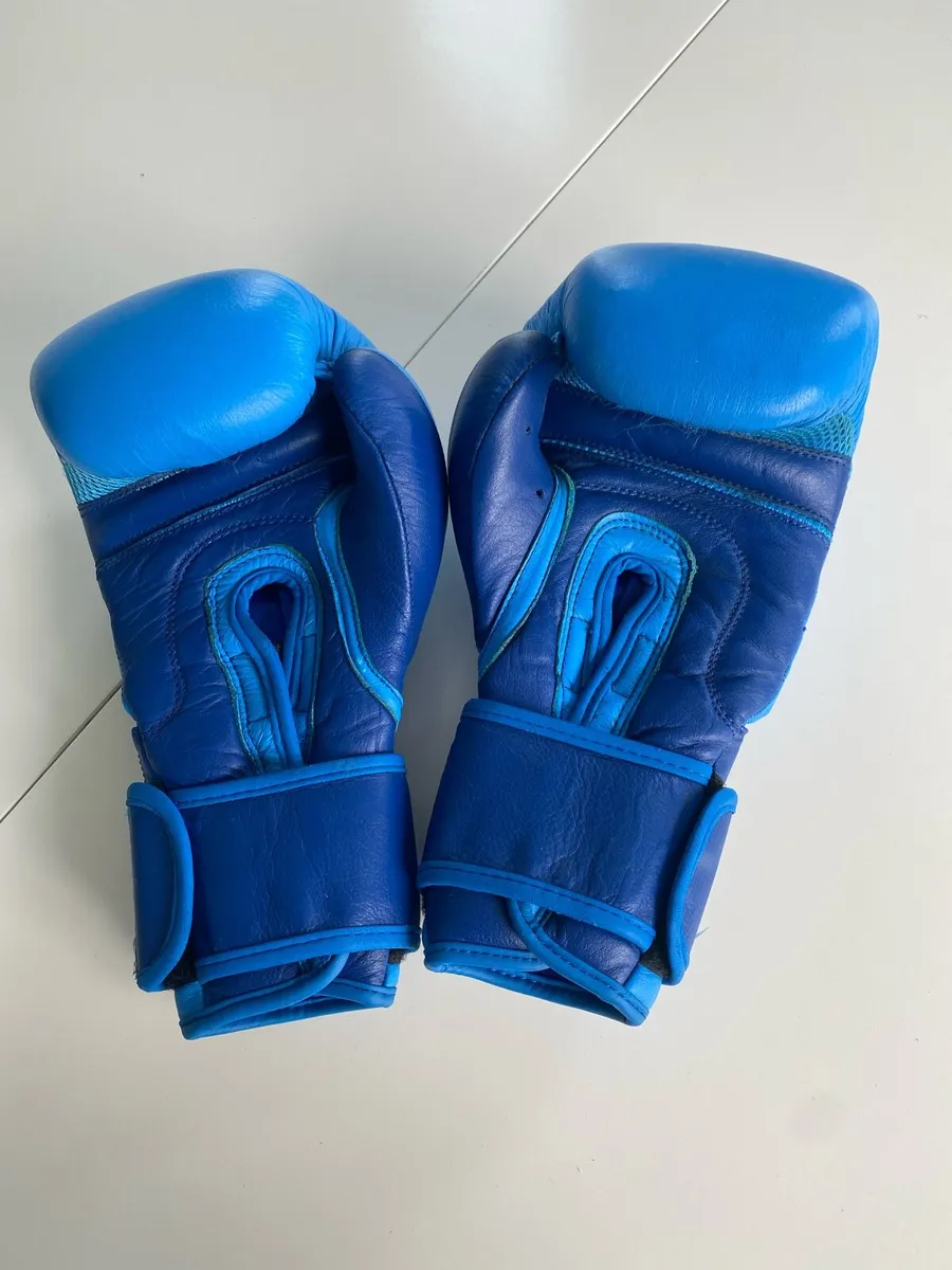 Boxing Gloves - Image 3