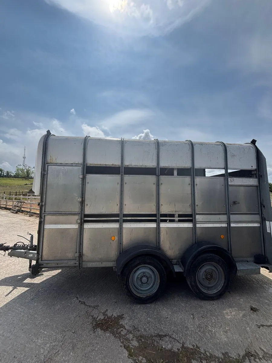 Ifor Williams 6 x 12 highroof - Image 2