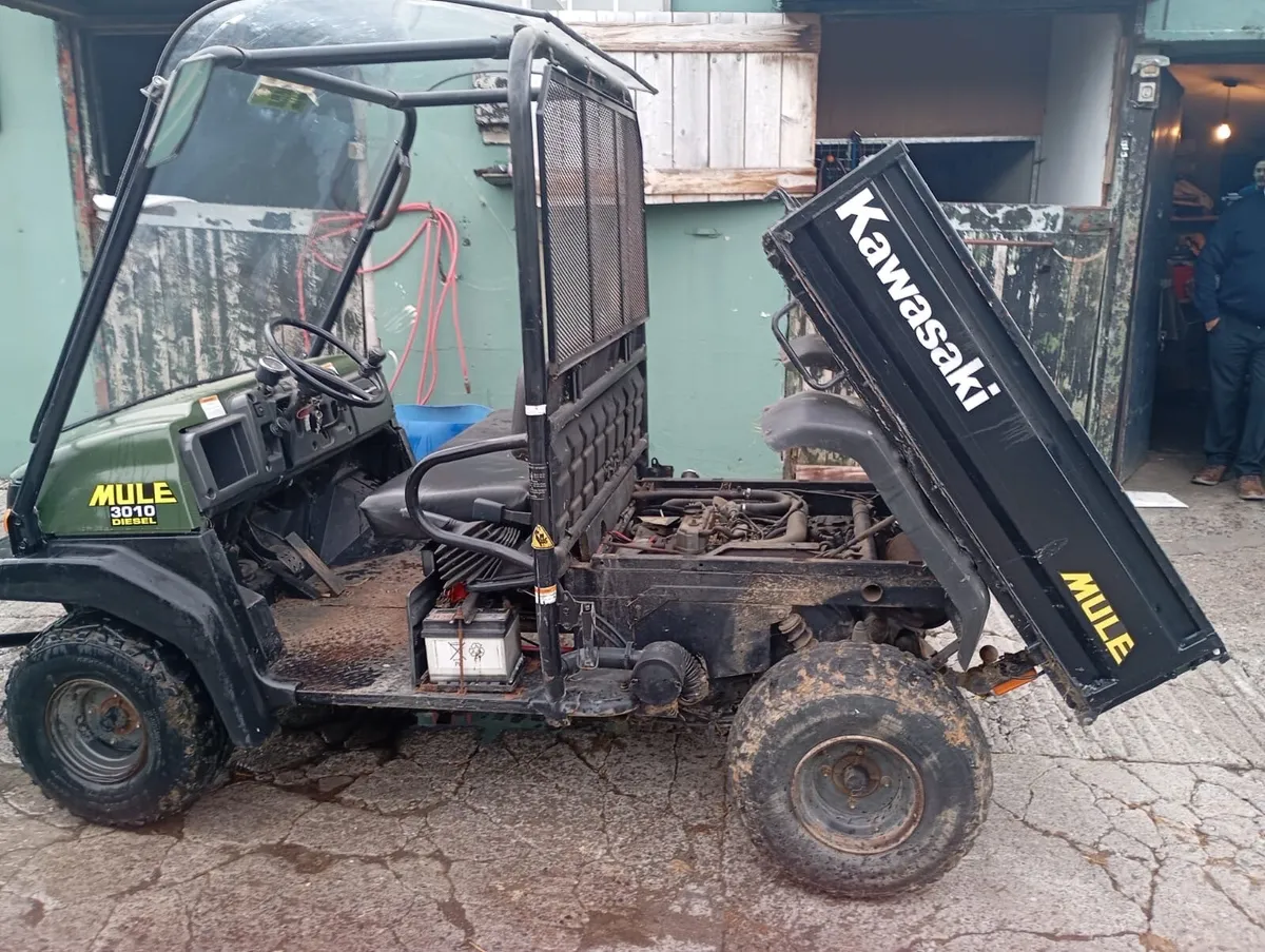Quad Kawasaki Mule - Image 2