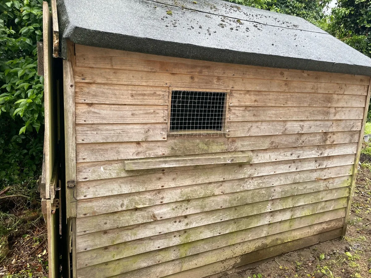 Garden shed 8 x 6 - Image 1
