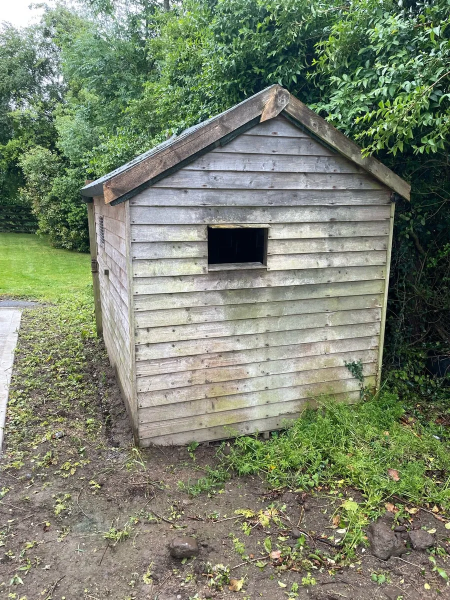 Garden shed 8 x 6 - Image 2