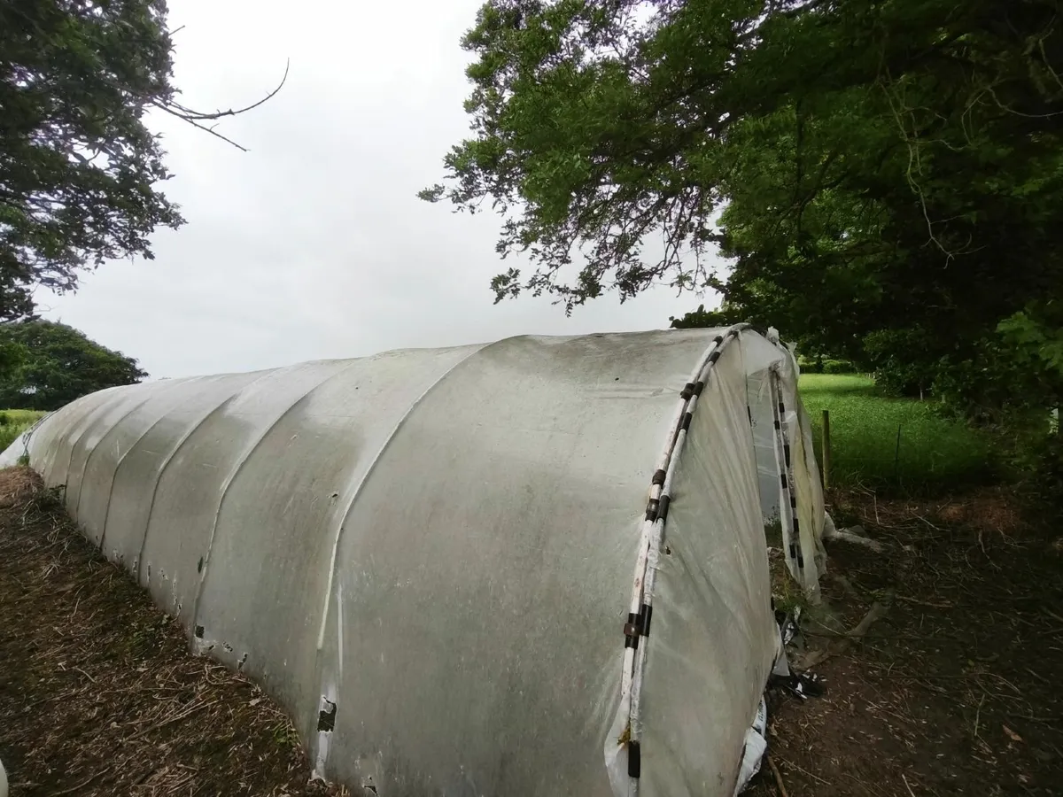 Poly Tunnel - Image 1