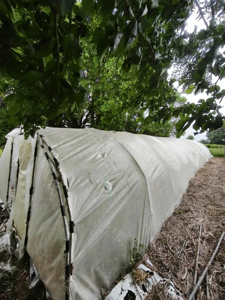 Poly Tunnel - Image 2