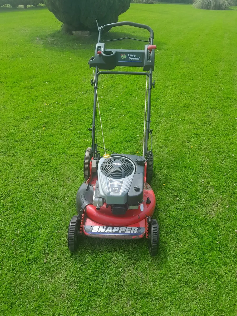 Professional lawnmower