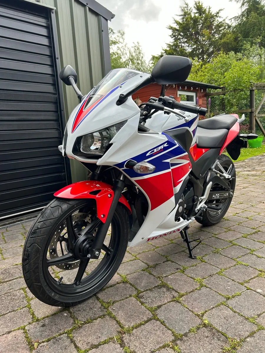 Honda cbr300 - Image 1