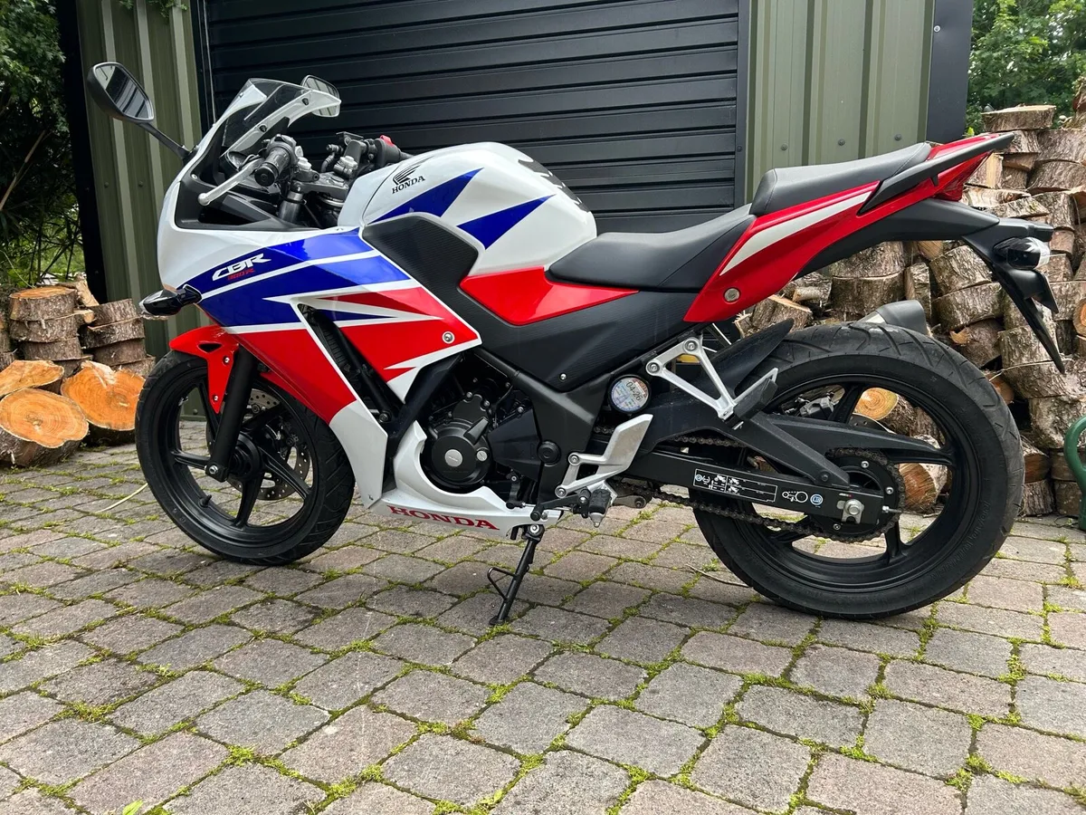 Honda cbr300 - Image 2