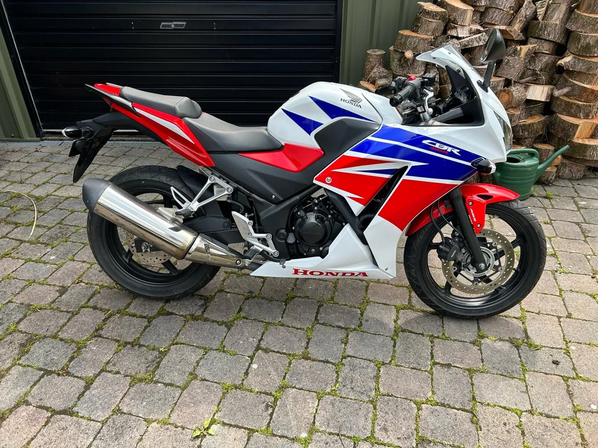 Honda cbr300 - Image 4