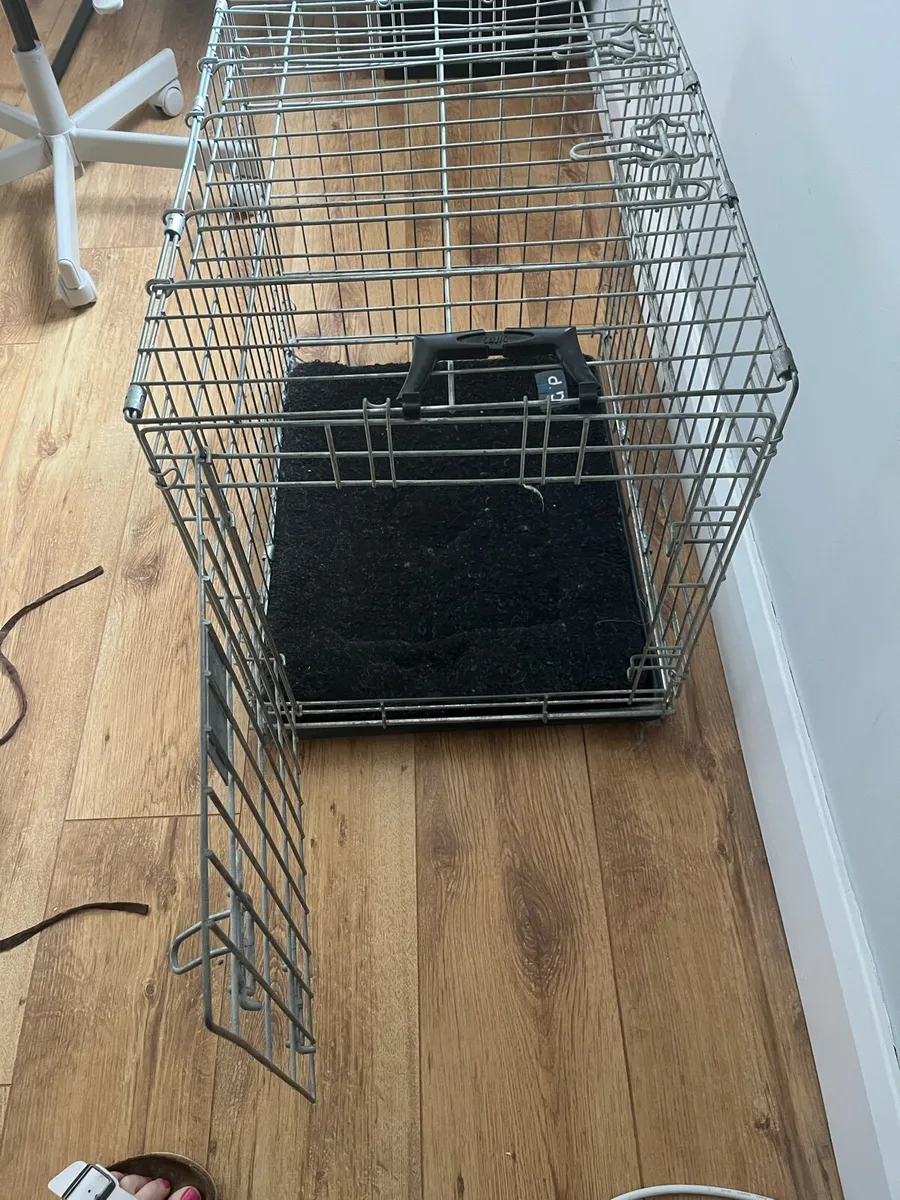 Dog crate - Image 2