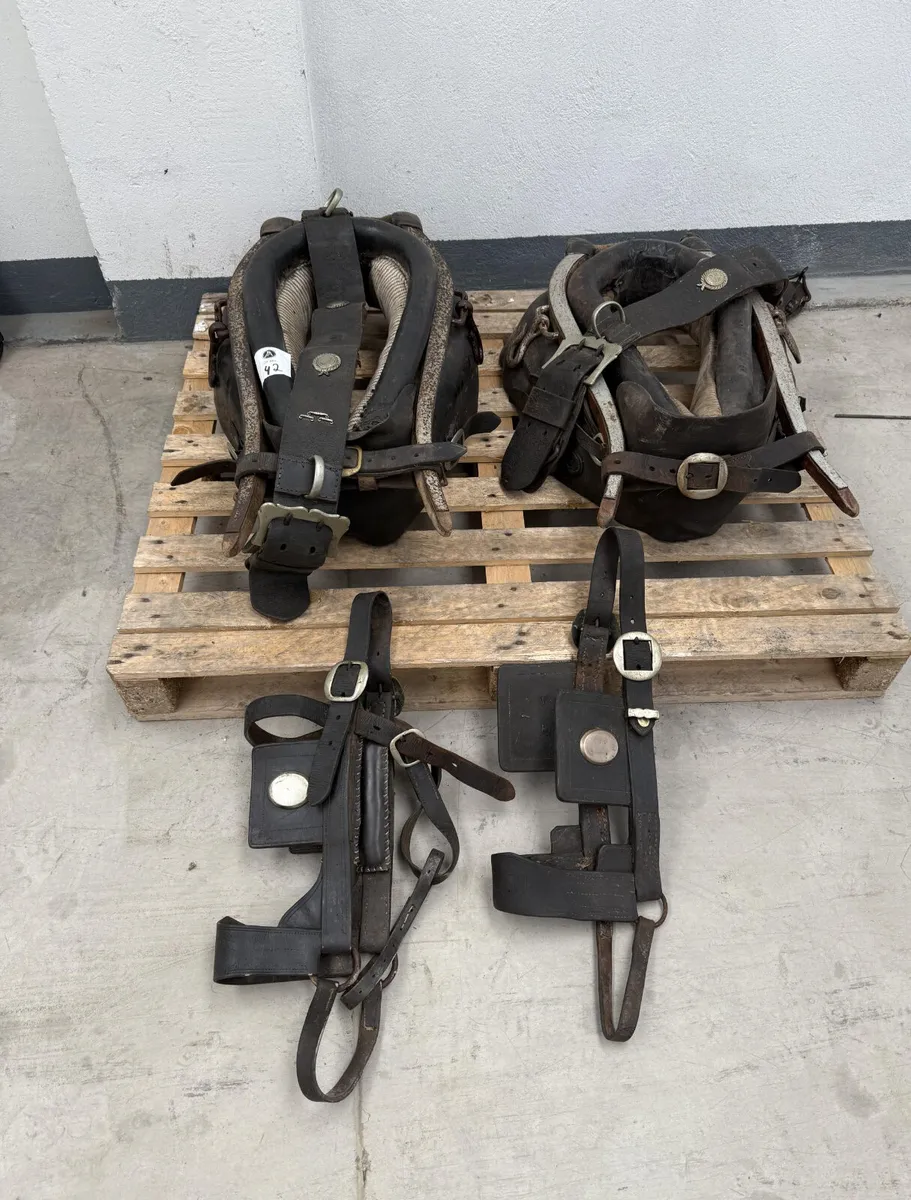Vintage Horse-Drawn Implements **Online Auction** - Image 3