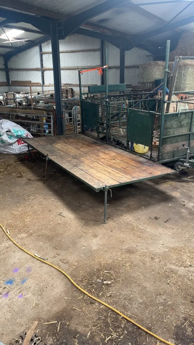 Sheep Mobile tub dipping and shearing - Image 2