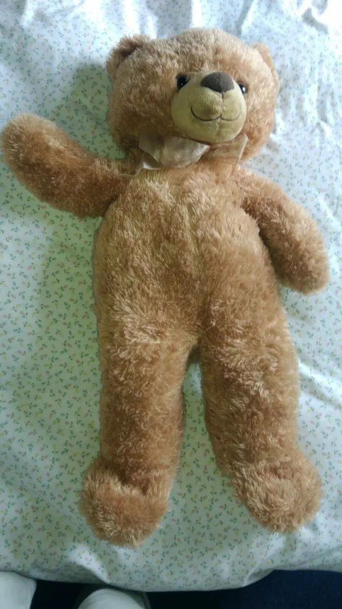 Large New Teddy Bear 75cm High - Image 2