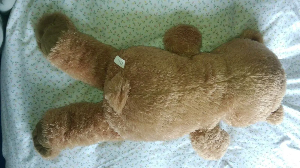 Large New Teddy Bear 75cm High - Image 3