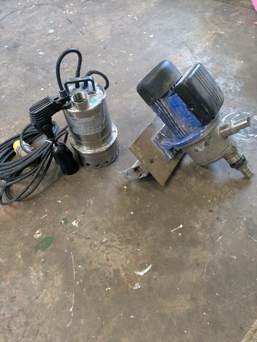 Pumps - Image 1