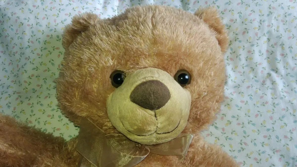 Large New Teddy Bear 75cm High - Image 4