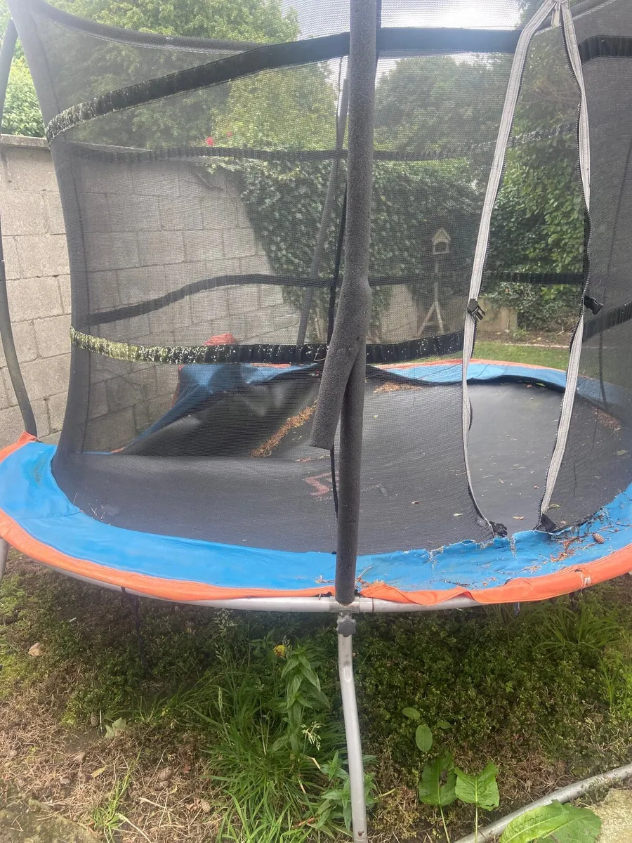 Trampoline - Image 1
