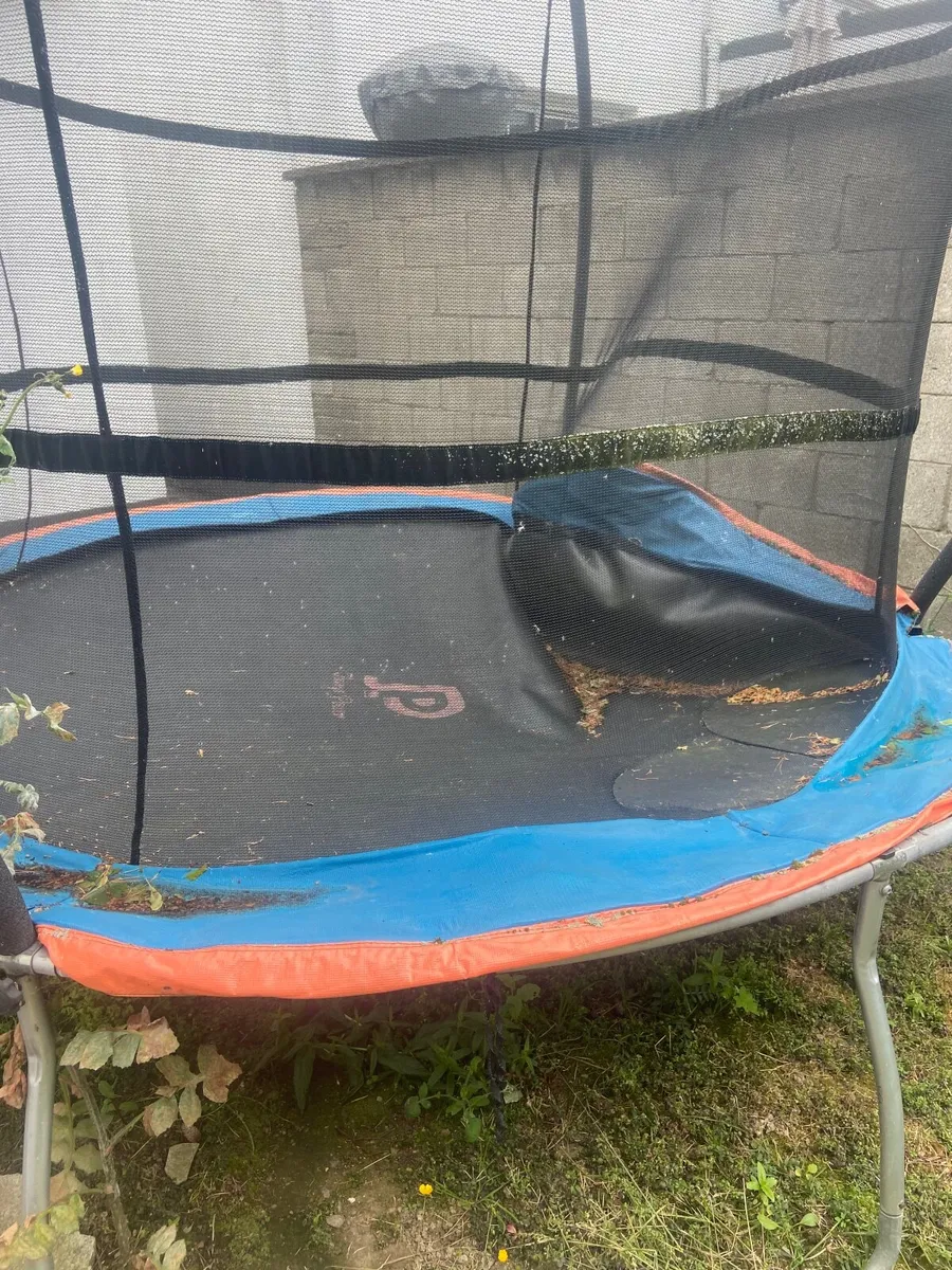 Trampoline - Image 3