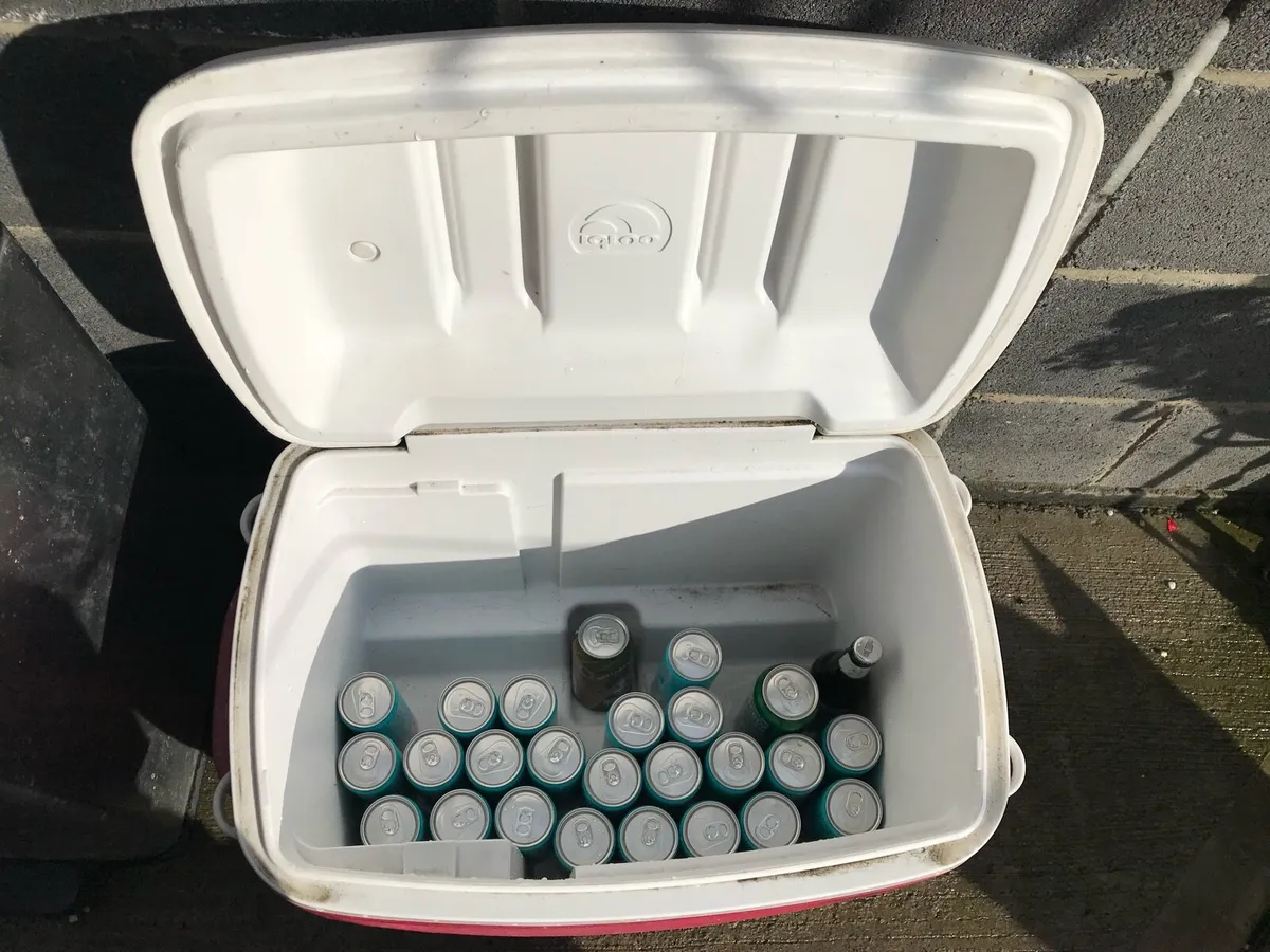 Igloo cool box - Image 3