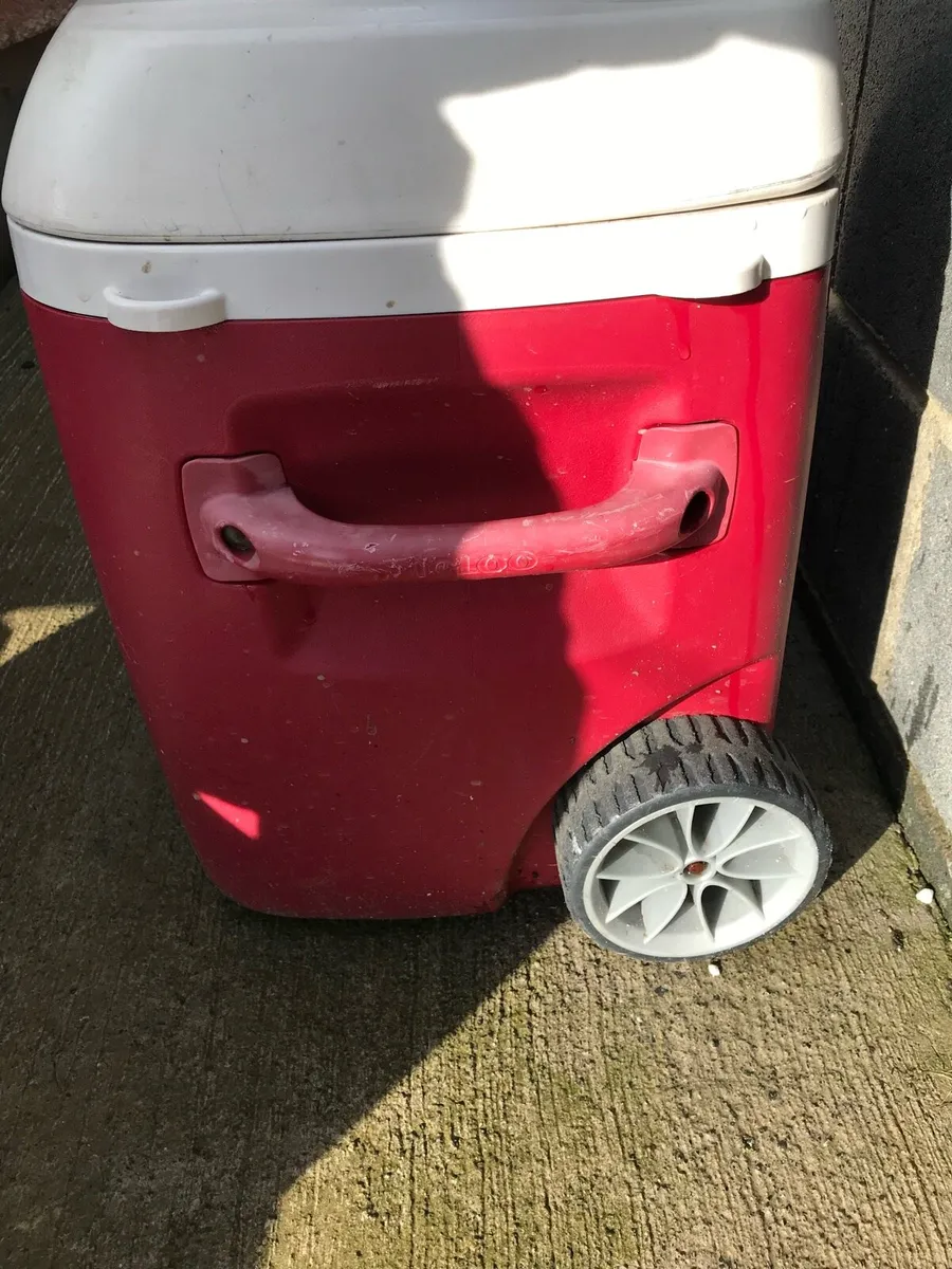 Igloo cool box - Image 4