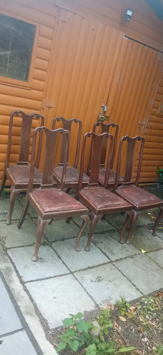 6 Antique Queen Anne Chairs With Leather Seats - Image 1
