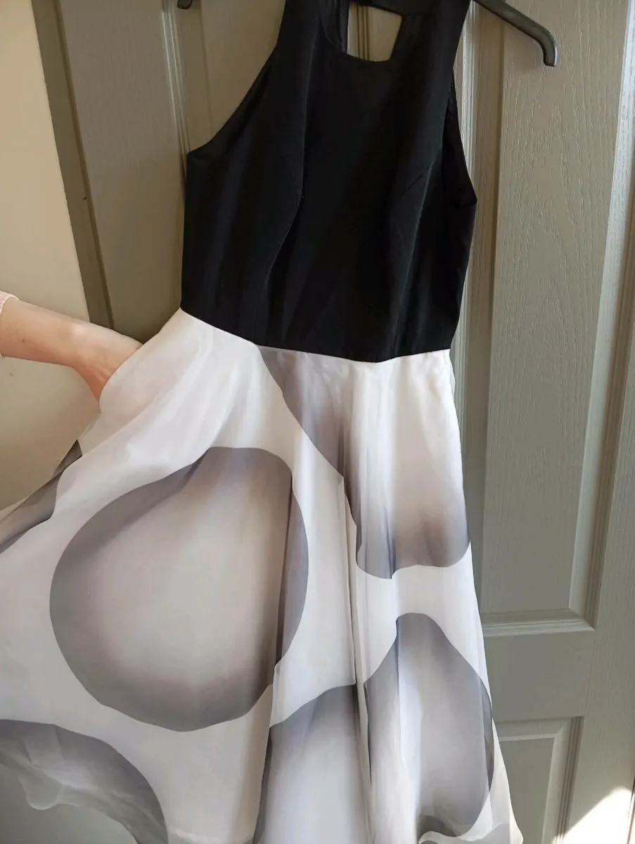 Ladies Occasion Dress - Image 4