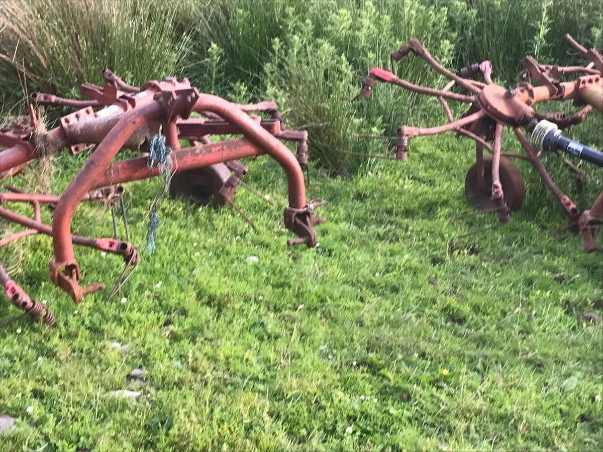 Yard clean out - Image 1