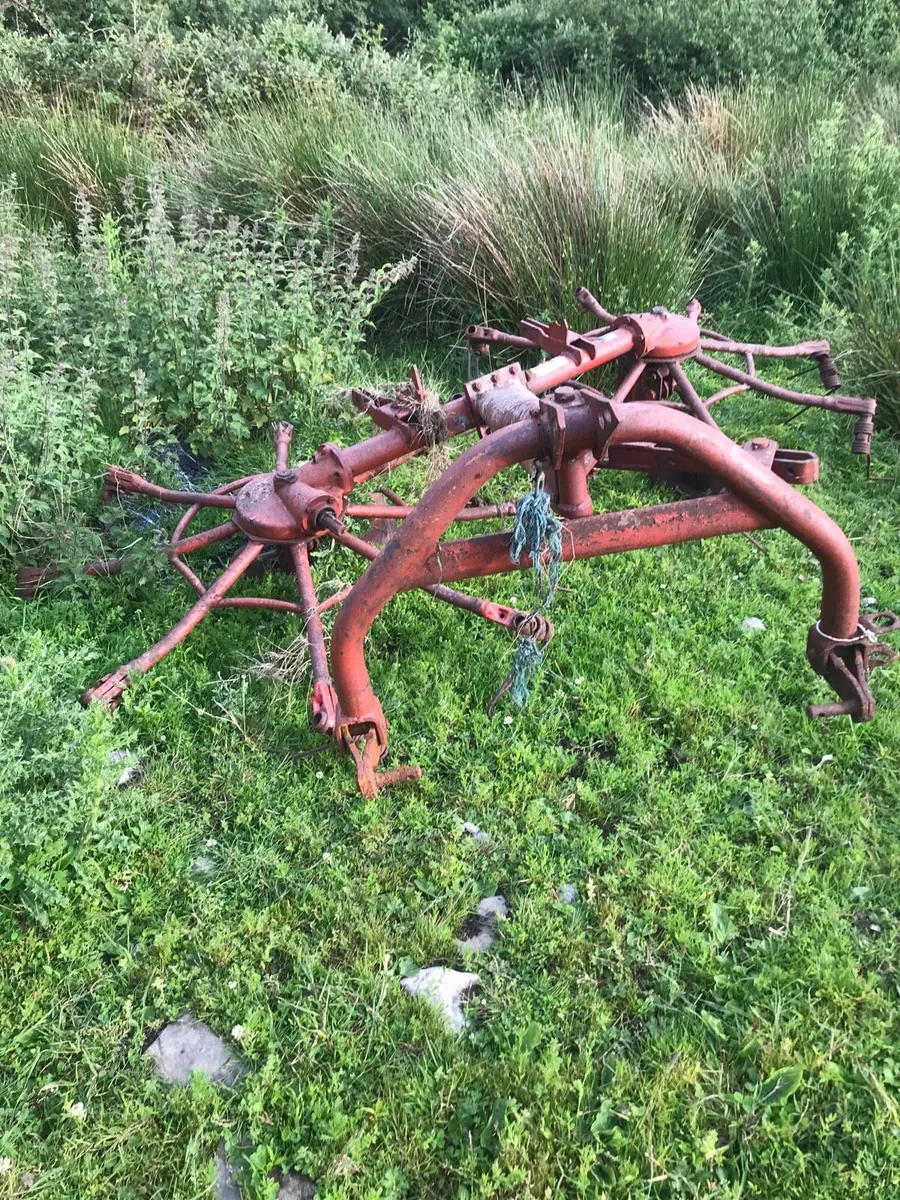 Yard clean out - Image 3